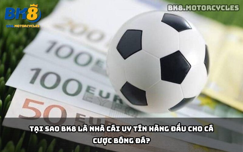 Cá cược bóng đá BK8 - Hình ảnh 1