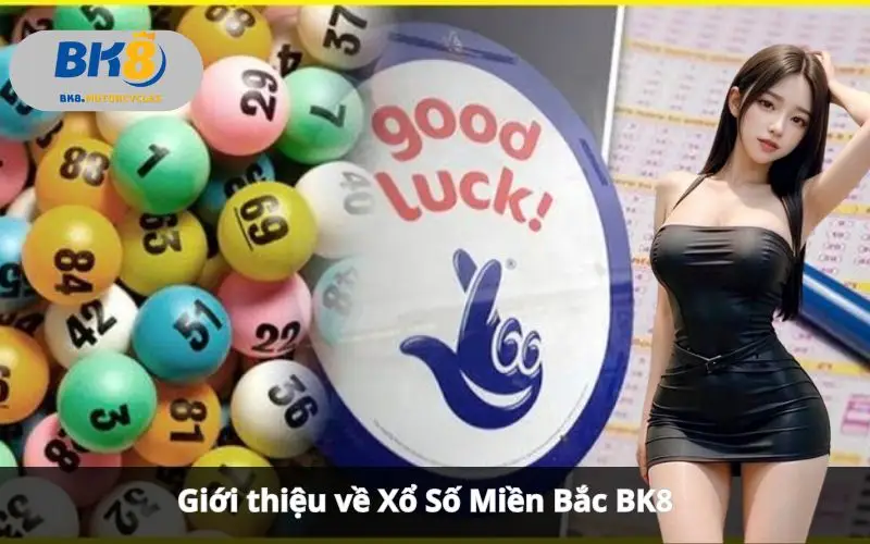 Xổ Số Miền Bắc BK8